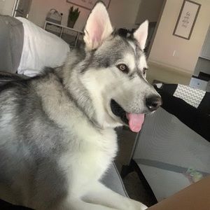 Meet your Posher, Zoe